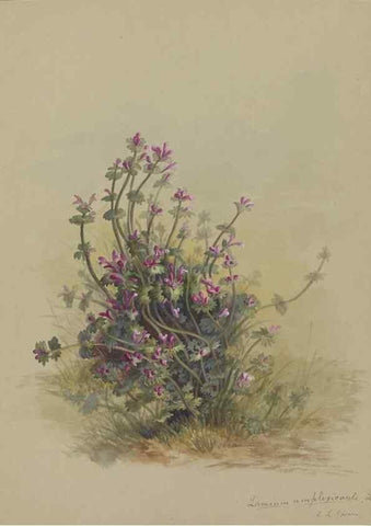 Reproducción/Reproduction 47965116096: Deborah Griscom Passmore watercolor album.. [ca. 1911]. 