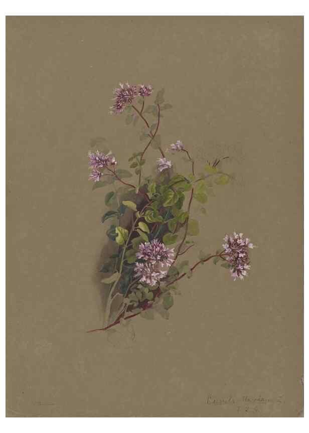 Reproducción/Reproduction 47965084343: Deborah Griscom Passmore watercolor album.. [ca. 1911]. 