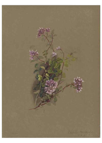 Reproducción/Reproduction 47965084343: Deborah Griscom Passmore watercolor album.. [ca. 1911]. 