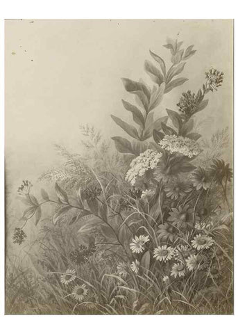 Reproducción/Reproduction 47965071502: Deborah Griscom Passmore watercolor album.. [ca. 1911]. 