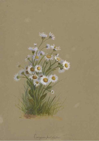 Reproducción/Reproduction 47965120631: Deborah Griscom Passmore watercolor album.. [ca. 1911]. 