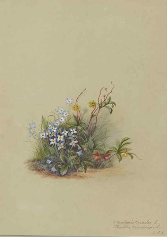 Reproducción/Reproduction 47965118036: Deborah Griscom Passmore watercolor album.. [ca. 1911]. 