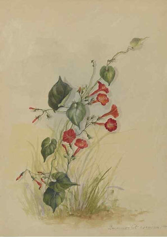 Reproducción/Reproduction 47965114731: Deborah Griscom Passmore watercolor album.. [ca. 1911]. 