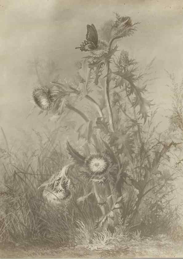 Reproducción/Reproduction 47965128301: Deborah Griscom Passmore watercolor album.. [ca. 1911]. 