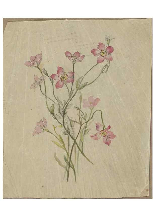 Reproducción/Reproduction 47965098478: Deborah Griscom Passmore watercolor album.. [ca. 1911]. 