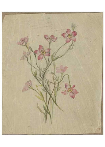 Reproducción/Reproduction 47965098478: Deborah Griscom Passmore watercolor album.. [ca. 1911]. 