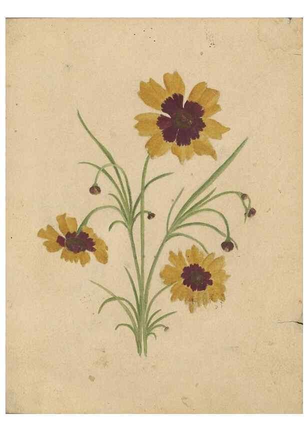 Reproducción/Reproduction 47965130401: Deborah Griscom Passmore watercolor album.. [ca. 1911]. 