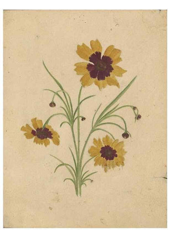 Reproducción/Reproduction 47965130401: Deborah Griscom Passmore watercolor album.. [ca. 1911]. 