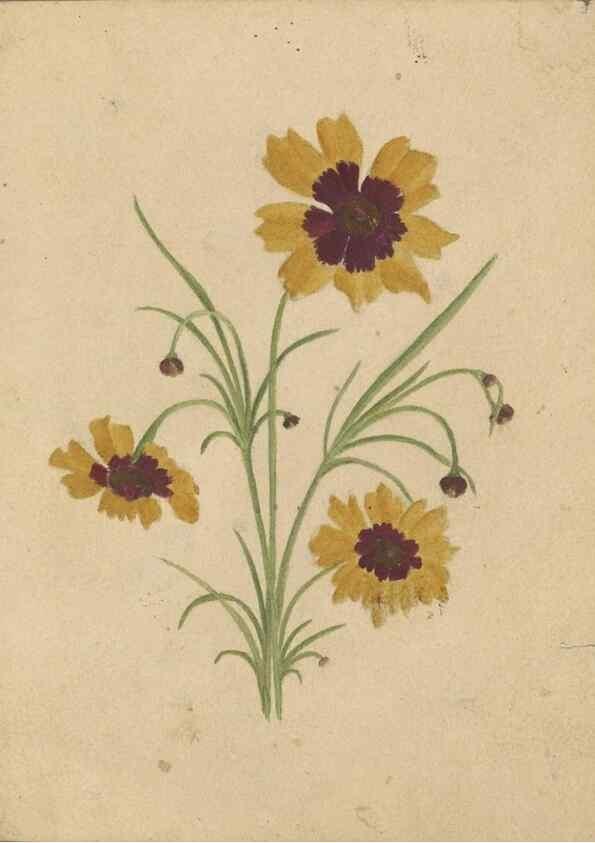 Reproducción/Reproduction 47965130401: Deborah Griscom Passmore watercolor album.. [ca. 1911]. 