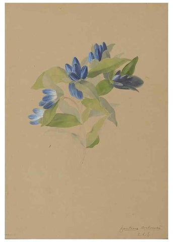 Reproducción/Reproduction 47965130741: Deborah Griscom Passmore watercolor album.. [ca. 1911]. 