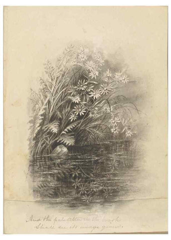Reproducción/Reproduction 47965075682: Deborah Griscom Passmore watercolor album.. [ca. 1911]. 
