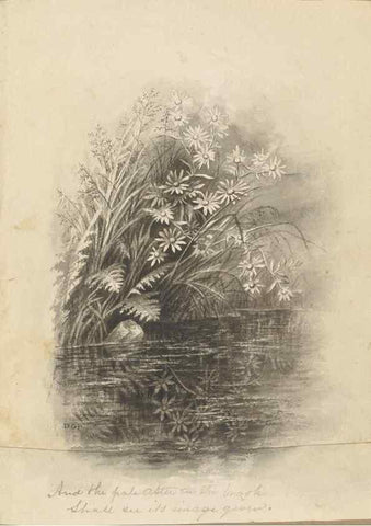 Reproducción/Reproduction 47965075682: Deborah Griscom Passmore watercolor album.. [ca. 1911]. 