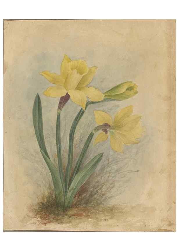 Reproducción/Reproduction 47965072097: Deborah Griscom Passmore watercolor album.. [ca. 1911]. 