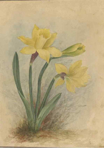 Reproducción/Reproduction 47965072097: Deborah Griscom Passmore watercolor album.. [ca. 1911]. 