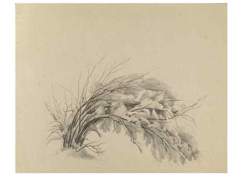 Reproducción/Reproduction 47965076752: Deborah Griscom Passmore watercolor album.. [ca. 1911]. 