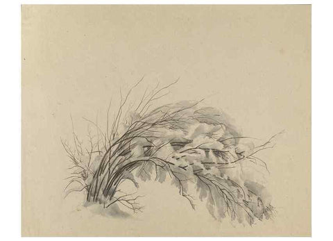 Reproducción/Reproduction 47965076752: Deborah Griscom Passmore watercolor album.. [ca. 1911]. 