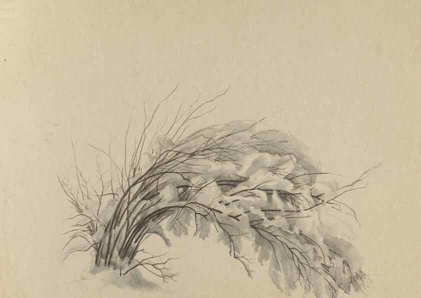 Reproducción/Reproduction 47965076752: Deborah Griscom Passmore watercolor album.. [ca. 1911]. 