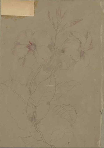 Reproducción/Reproduction 47965077882: Deborah Griscom Passmore watercolor album.. [ca. 1911]. 