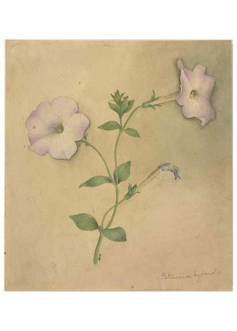 Reproducción/Reproduction 47965134711: Deborah Griscom Passmore watercolor album.. [ca. 1911]. 