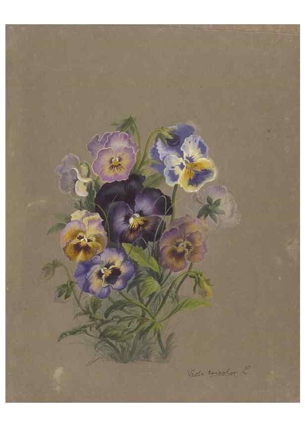 Reproducción/Reproduction 47965050802: Deborah Griscom Passmore watercolor album.. [ca. 1911]. 