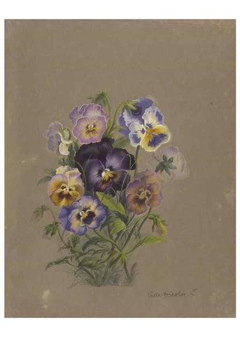 Reproducción/Reproduction 47965050802: Deborah Griscom Passmore watercolor album.. [ca. 1911]. 