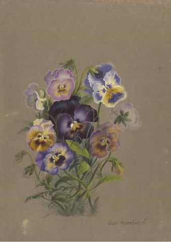 Reproducción/Reproduction 47965050802: Deborah Griscom Passmore watercolor album.. [ca. 1911]. 