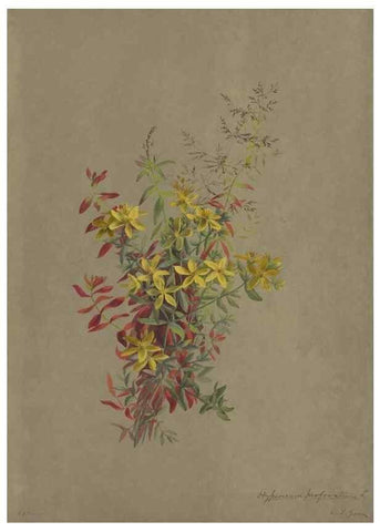 Reproducción/Reproduction 47965110731: Deborah Griscom Passmore watercolor album.. [ca. 1911]. 
