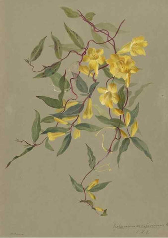 Reproducción/Reproduction 47965080038: Deborah Griscom Passmore watercolor album.. [ca. 1911]. 