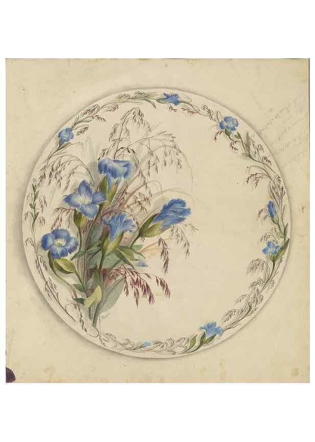 Reproducción/Reproduction 47965056222: Deborah Griscom Passmore watercolor album.. [ca. 1911]. 