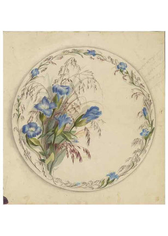 Reproducción/Reproduction 47965056222: Deborah Griscom Passmore watercolor album.. [ca. 1911]. 