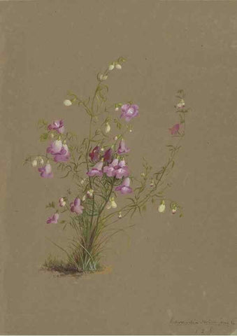 Reproducción/Reproduction 47965081233: Deborah Griscom Passmore watercolor album.. [ca. 1911]. 
