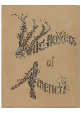 Reproducción/Reproduction 47965100696: Deborah Griscom Passmore watercolor album.. [ca. 1911]. 