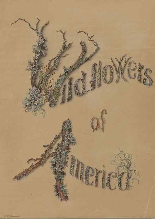 Reproducción/Reproduction 47965100696: Deborah Griscom Passmore watercolor album.. [ca. 1911]. 