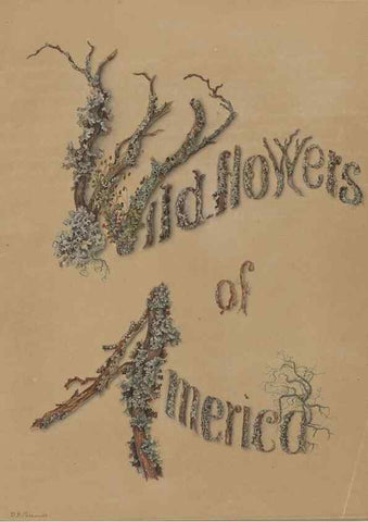 Reproducción/Reproduction 47965100696: Deborah Griscom Passmore watercolor album.. [ca. 1911]. 