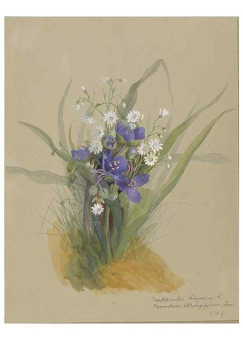 Reproducción/Reproduction 47965068883: Deborah Griscom Passmore watercolor album.. [ca. 1911]. 