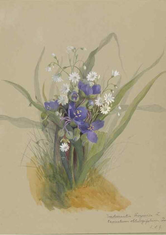 Reproducción/Reproduction 47965068883: Deborah Griscom Passmore watercolor album.. [ca. 1911]. 