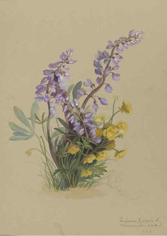 Reproducción/Reproduction 47965048127: Deborah Griscom Passmore watercolor album.. [ca. 1911]. 
