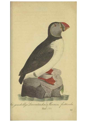 Reproducción/Reproduction 47066518634: Fauna Boica oder gemeinnützige Naturgeschichte der Thiere Bayerns.. Nürnberg :In der E.H. Zeh'schen Buchhandlung,1835.. 