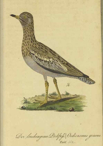 Reproducción/Reproduction 47803742972: Fauna Boica oder gemeinnützige Naturgeschichte der Thiere Bayerns.. Nürnberg :In der E.H. Zeh'schen Buchhandlung,1835.. 