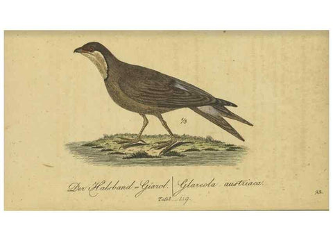 Reproducción/Reproduction 47803745832: Fauna Boica oder gemeinnützige Naturgeschichte der Thiere Bayerns.. Nürnberg :In der E.H. Zeh'schen Buchhandlung,1835.. 