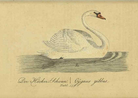 Reproducción/Reproduction 40889318593: Fauna Boica oder gemeinnützige Naturgeschichte der Thiere Bayerns.. Nürnberg :In der E.H. Zeh'schen Buchhandlung,1835.. 