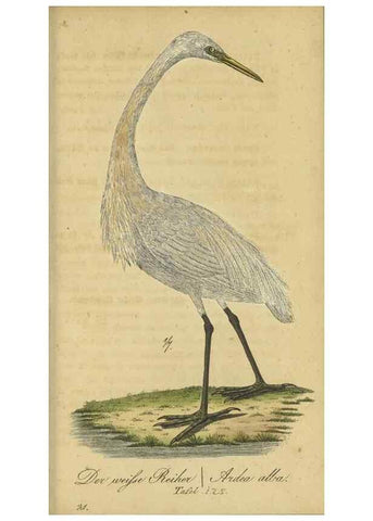 Reproducción/Reproduction 32911805297: Fauna Boica oder gemeinnützige Naturgeschichte der Thiere Bayerns.. Nürnberg :In der E.H. Zeh'schen Buchhandlung,1835.. 