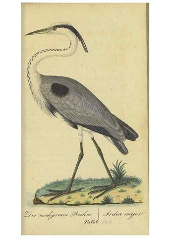 Reproducción/Reproduction 40889303063: Fauna Boica oder gemeinnützige Naturgeschichte der Thiere Bayerns.. Nürnberg :In der E.H. Zeh'schen Buchhandlung,1835.. 