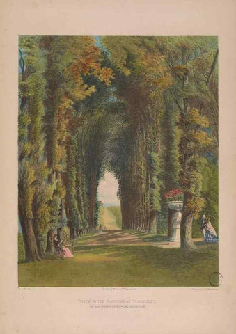 Reproducción/Reproduction 48307939327: The gardens of England. London :T. McLean,[1858?]. 