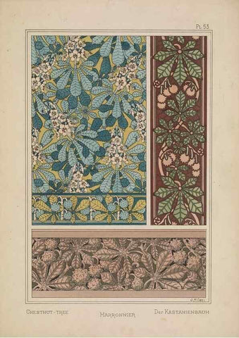 Reproducción/Reproduction 48309063762: La plante et ses applications ornementales /. Paris :Librairie Centrale des Beaux-Arts, E. Lévy, éditeur ...[1896]. 