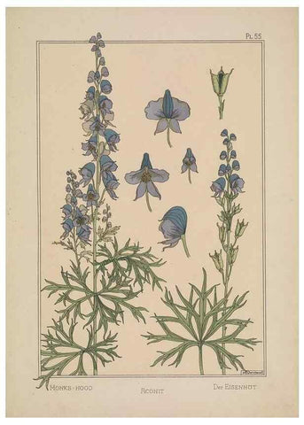 Reproducción/Reproduction 48309064447: La plante et ses applications ornementales /. Paris :Librairie Centrale des Beaux-Arts, E. Lévy, éditeur ...[1896]. 