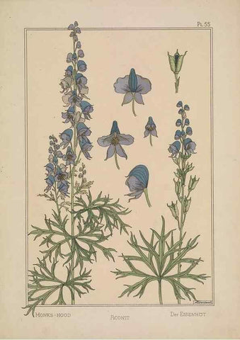 Reproducción/Reproduction 48309064447: La plante et ses applications ornementales /. Paris :Librairie Centrale des Beaux-Arts, E. Lévy, éditeur ...[1896]. 
