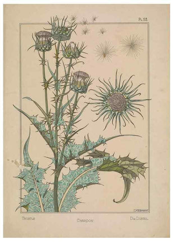 Reproducción/Reproduction 48308954446: La plante et ses applications ornementales /. Paris :Librairie Centrale des Beaux-Arts, E. Lévy, éditeur ...[1896]. 