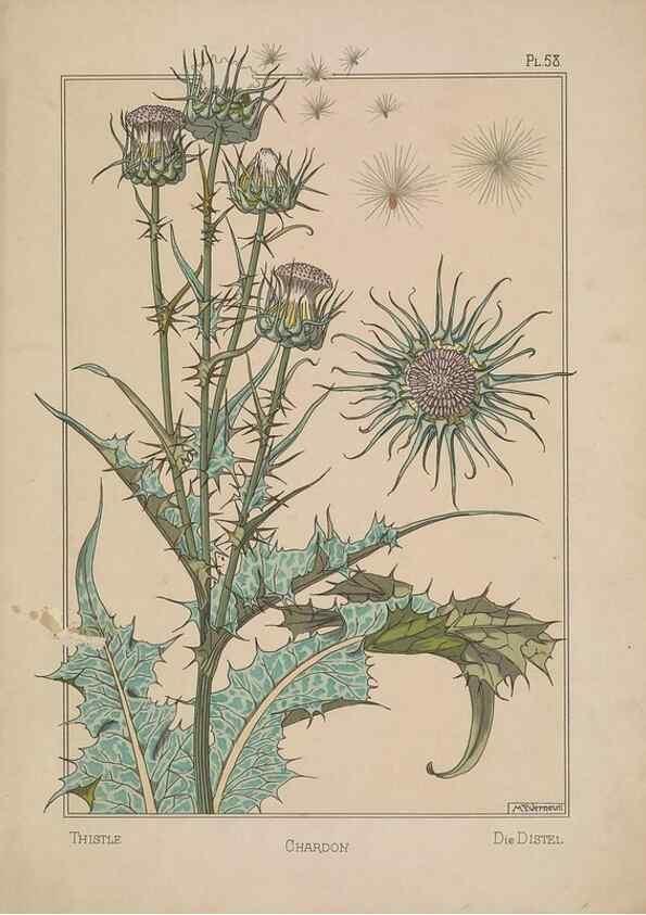 Reproducción/Reproduction 48308954446: La plante et ses applications ornementales /. Paris :Librairie Centrale des Beaux-Arts, E. Lévy, éditeur ...[1896]. 