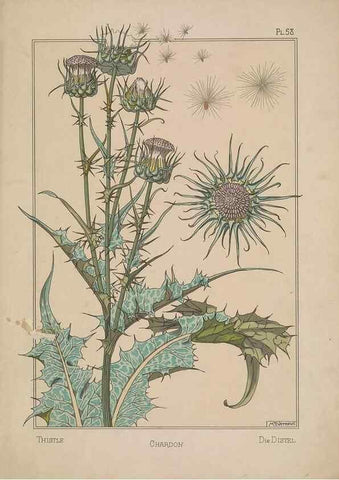 Reproducción/Reproduction 48308954446: La plante et ses applications ornementales /. Paris :Librairie Centrale des Beaux-Arts, E. Lévy, éditeur ...[1896]. 